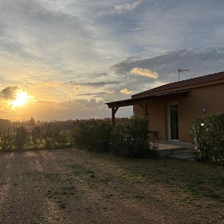 Maris Suite - Appartamento Con Vasca Idromassaggio Alghero Exterior foto